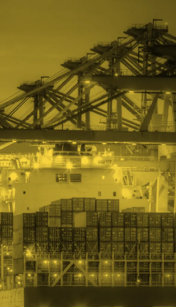 Damsco Trading background